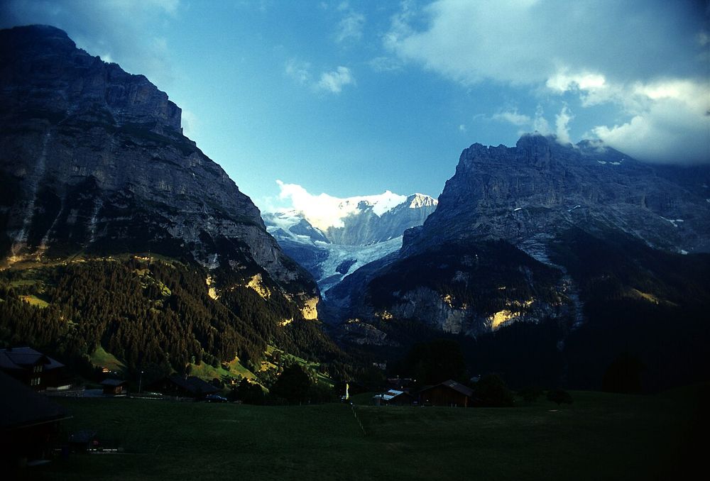 The glacier in 2003, retreating into its gorge.