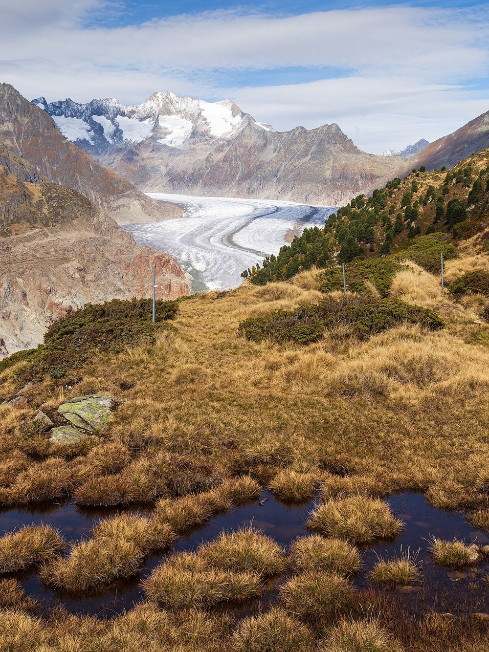 The Aletsch Glacier between Hohfluh and Moosfluh, 2017.