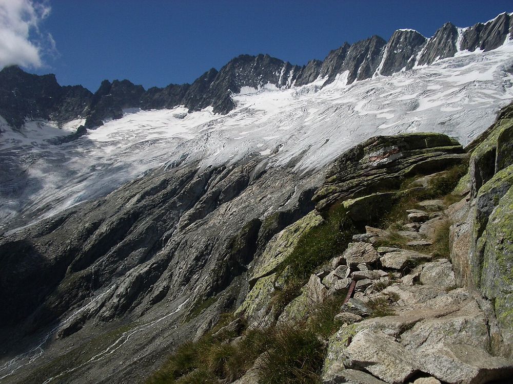 Dammagletscher in 2007.
