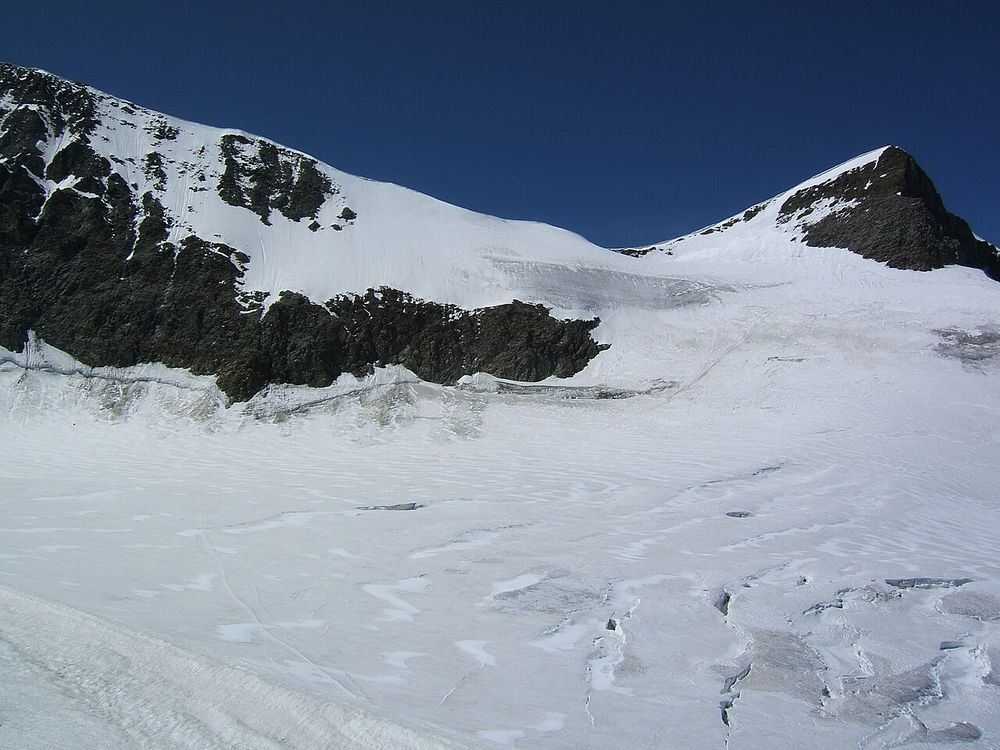 Hohbalmgletscher.