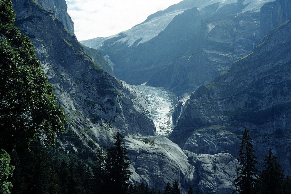 Oberer Grindelwaldgletscher in 2003.